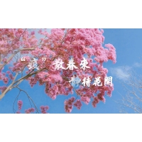 疫散終有時(shí)，春暖花自開(kāi)-科明致敬每一個(gè)認(rèn)真防疫的東莞人